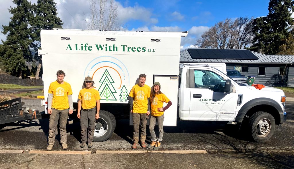 Your Experts in Tree Removal
